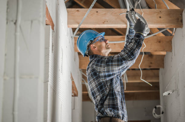 Best Electrical System Inspection  in Nicholls, GA